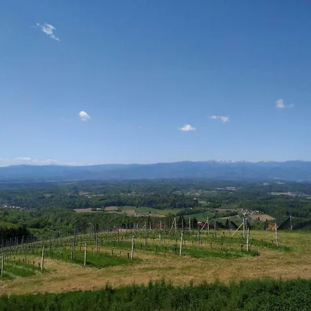 Strohmaier شقة كيتسك إيم زاوزال