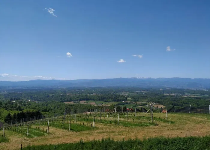 Strohmaier 公寓 绍萨尔地区基策克